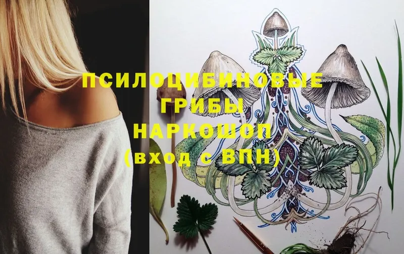 Галлюциногенные грибы MAGIC MUSHROOMS  darknet телеграм  Заринск 